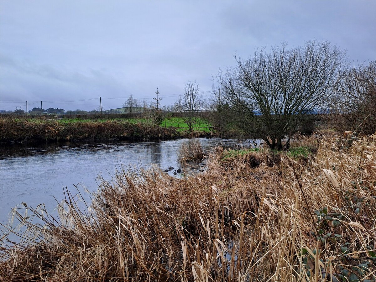 loughsagency's tweet photo. 🐟 Nearly £6k invested in the Derg River (Glashagh) to boost fish habitats! 60 tonnes of spawning gravel added to support healthier stocks and enhance biodiversity, part of Loughs Agency’s ongoing Fisheries &amp; Angling Improvement Strategy. 🌊🌱 #RiverRestoration https://t.co/CO9kmxkFrp