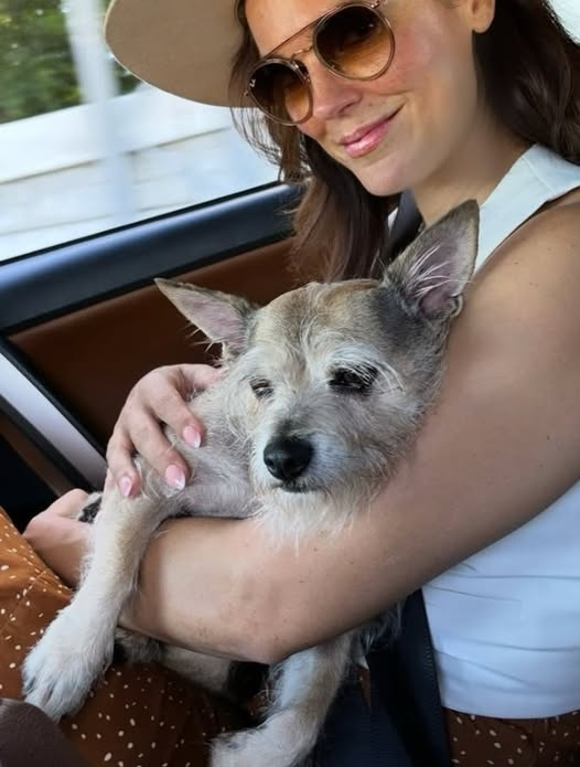 RomComReview1's tweet image. Yesterday was #NationalDogDay, so #ErinCahill posted this pic of her dog Crumpet!

#HallmarkChannel