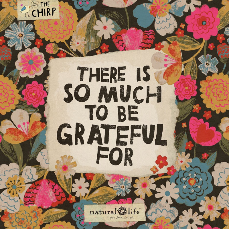 "When I started counting my blessings, my whole life turned around" -Unknown

bit.ly/NLyourmorningc…
