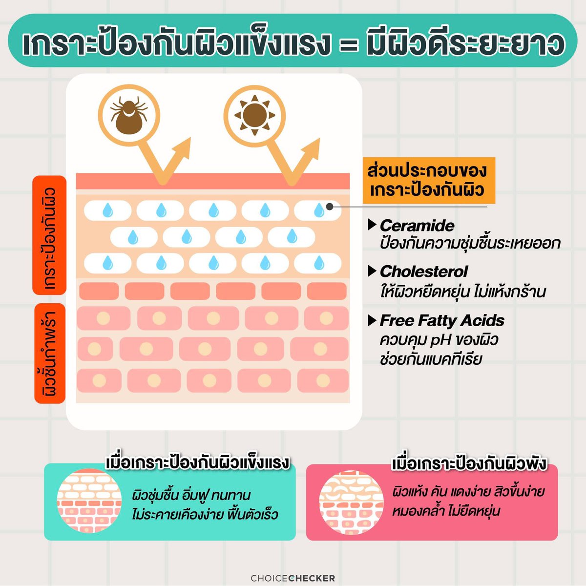 🧴 ผิวแข็งแรงไม่ได้มาจากสกินแคร์แพงหรือหัตถการเสมอไป แต่กุญแจจริงๆ คือ “Skin Barrier” ที่ทำหน้าที่เป็นบอดี้การ์ดให้ผิว 🛡️ ถ้าเกราะพัง ➡️ ผิวแห้ง แพ้ง่าย สิวขึ้น หมองคล้ำ ถ้าเกราะแข็งแรง ➡️ ผิวชุ่มชื้น อิ่มฟู ฟื้นตัวไว