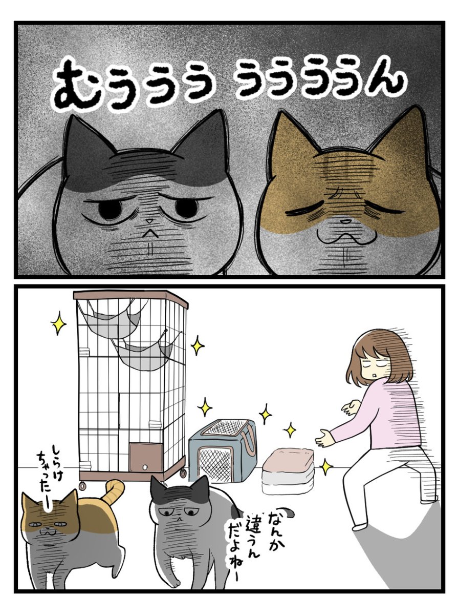 猫グッズを洗濯した結果
#猫漫画 