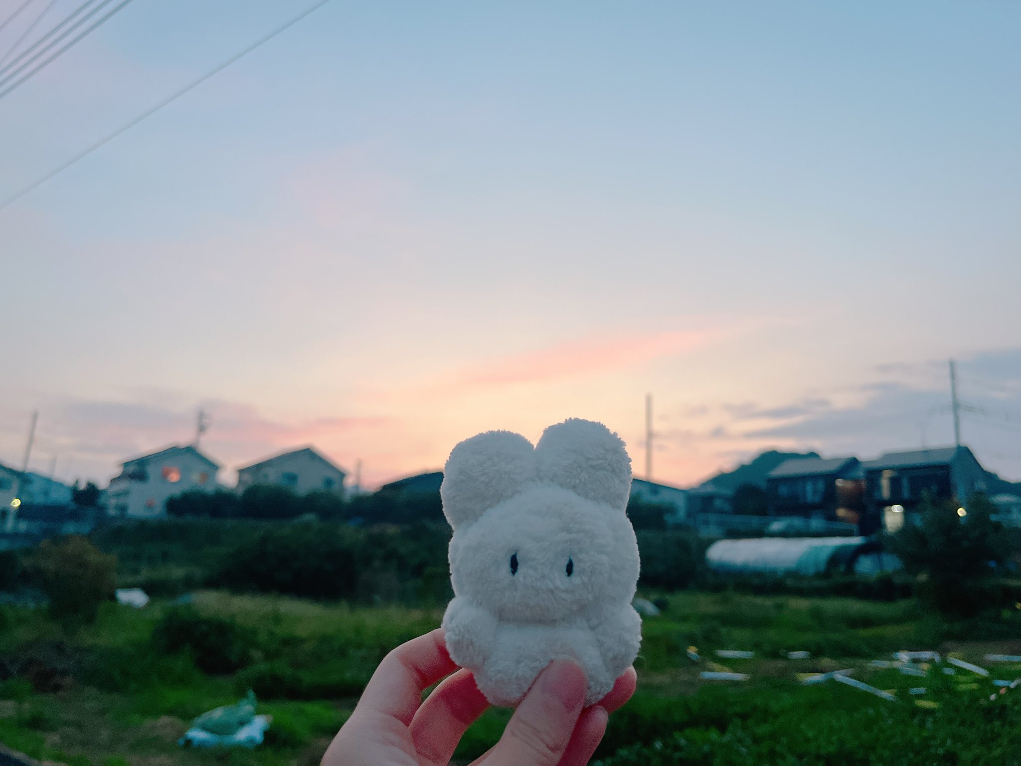 usagi planet 7.8月愛と狂気のマーケット（ラフォーレ原宿