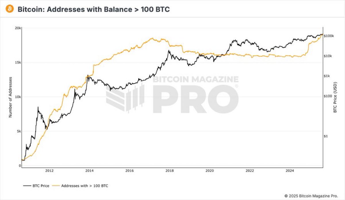 100 #Bitcoin 以上を保有するアドレス数が過去最高を更新しました🚀🔥