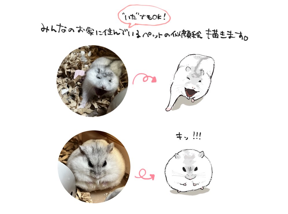 【お宅に住んでいるペットの似顔絵描きます🏠】
お宅に住んでいる(いた)ハムスター含むペットの似顔絵を描きます。
希望の方は描いて欲しい子のお写真をリプに貼ってください

※即描き×,気長に待てる方のみ
※参加はフォローとRPをお願いします
　鍵垢DM🆗自作発言は🆖
⚠️超遅筆で作業合間に描きます