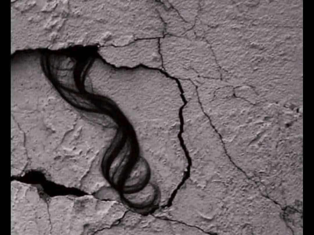 Instead of strands of hair dangling, escaping from a lock of poetry, we now find them among the rubble — the body in one place and the hair in another, trapped between two stones, forgotten like an abandoned church.

Instead of a mother combing the hair of her little daughter,