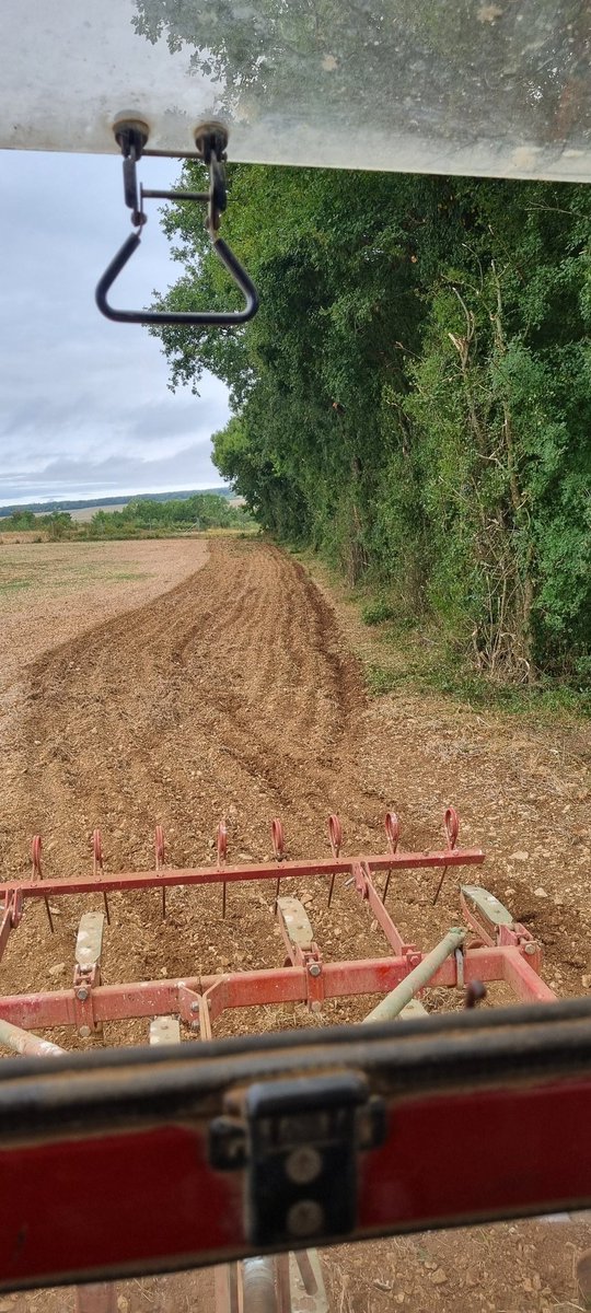 Coup de propre fait par mon collègue agriculteurs avec sont elageuse 
On profite pour regratter la ou les pneus on passer
Ça pousse bon dieux et ca coûte l'entretien 
On gagne vite 2m et ca évite de casser retro
#haie #agricultures #FrAgTw