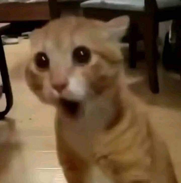 Y'a eu les petits indiens, j'ai popoff de zinzin