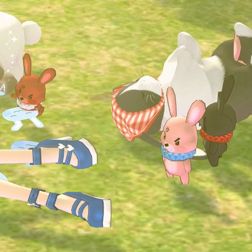 白兎 白兎🥕🐇 on X: 