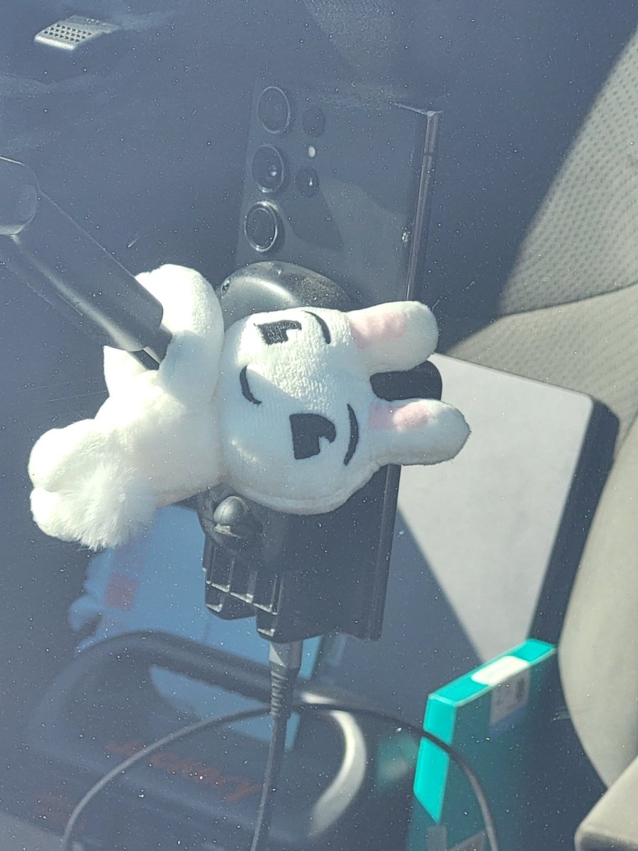 ChefKira785's tweet photo. @buckthebunny Been hanging out with me for a few days now https://t.co/hDwcD05Rpc