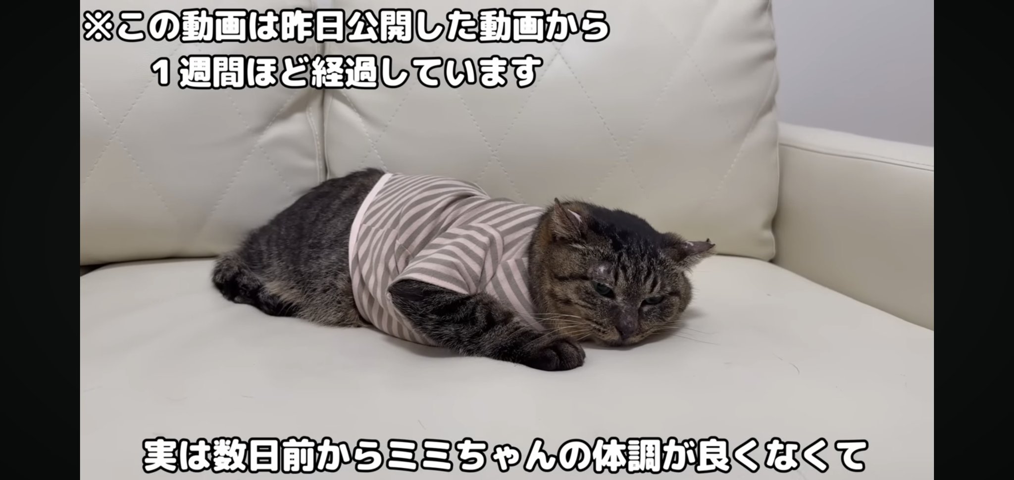 もちさまお取り置きのお品です mqdefault.jpg