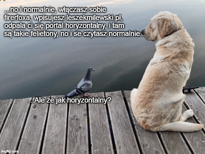 Haldir Zero (@haldir_zero) on Twitter photo 