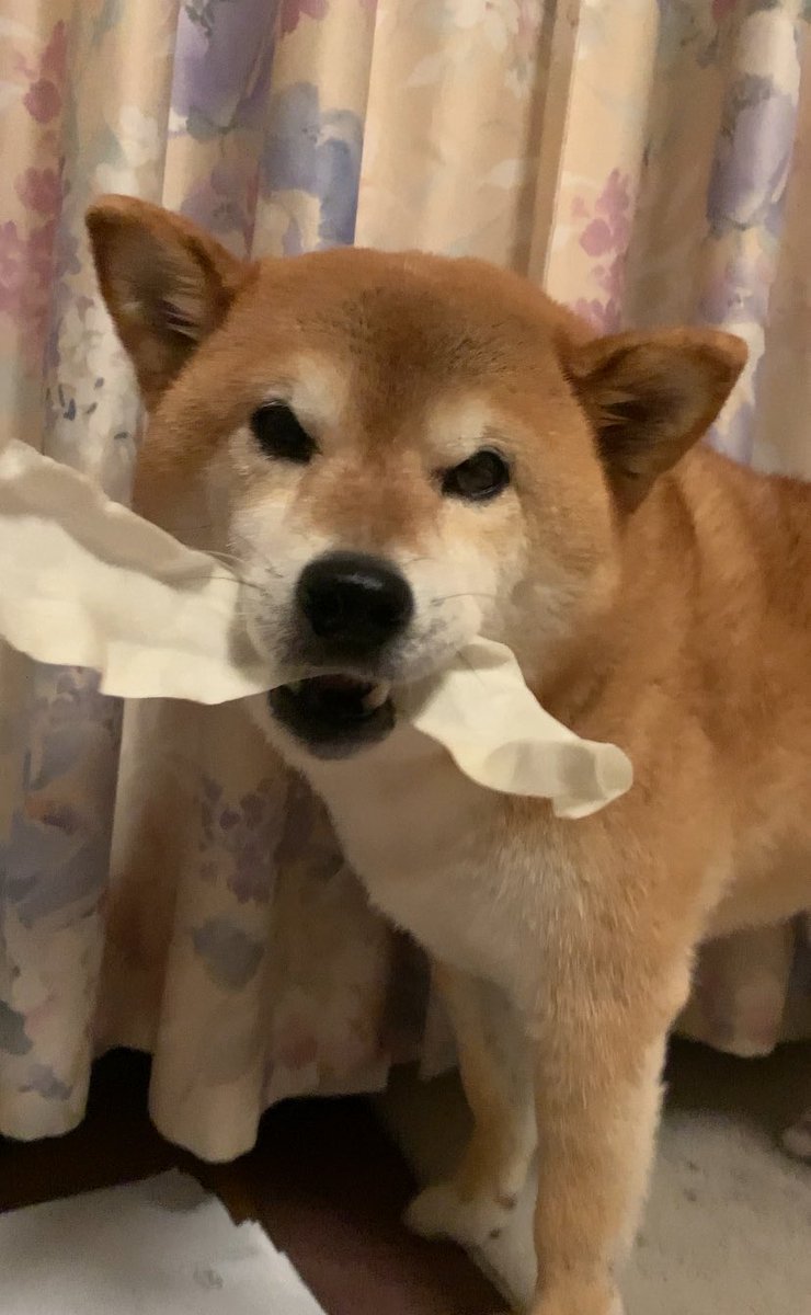 ⭐️Ginzi⭐️ (@48ginzi) / Posts / X