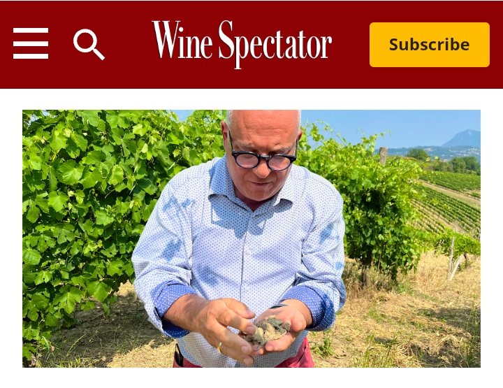 MEET THE PRINCE OF GRECO DI TUFO Cantine di Marzo has invested in its vineyards and winemaking to create exciting new bottlings of Greco di Tufo. campanica.blogspot.com/2025/08/the-zo…
----
#GrecoDiTufo #crus #winery