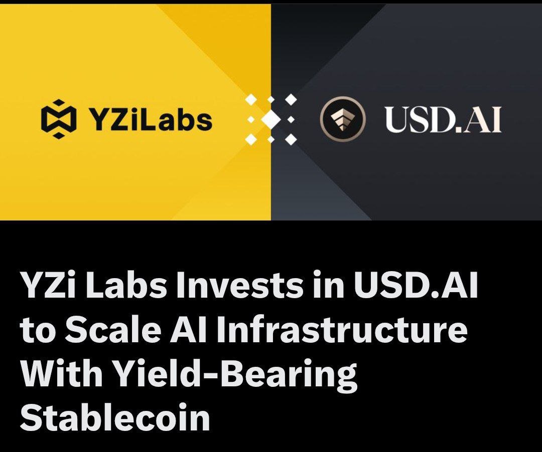 REX DAO👑 tweet media