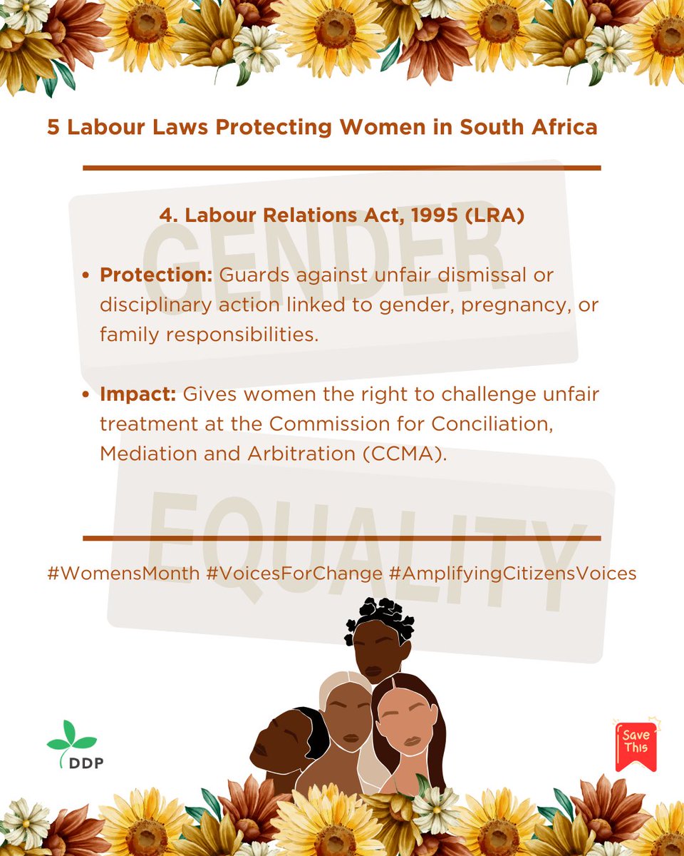 🌍✨ In South Africa, our labour laws are here to protect and empower women in the workplace, from safeguarding against unfair discrimination to guaranteeing maternity rights and equal opportunities.

At DDP, we believe that knowing your rights is the first step toward building