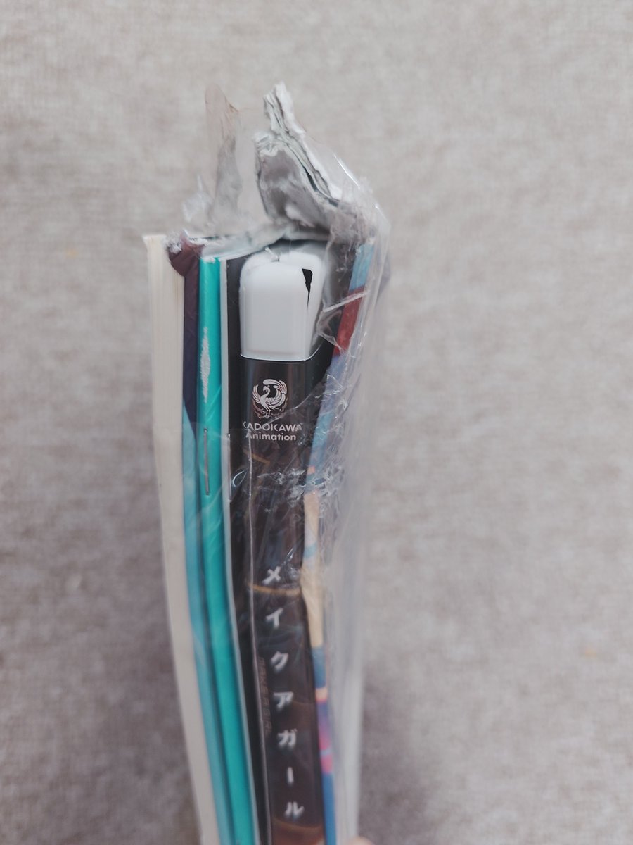 メイクアガールのBlu-ray
こんな状態で送られてきて残念
ゴミなので捨てます