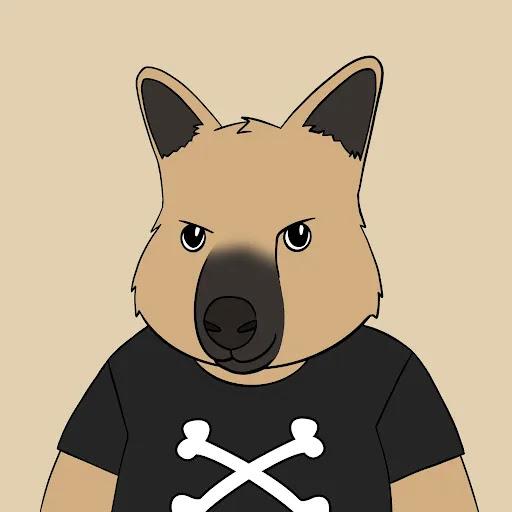 Frett Drett tweet media