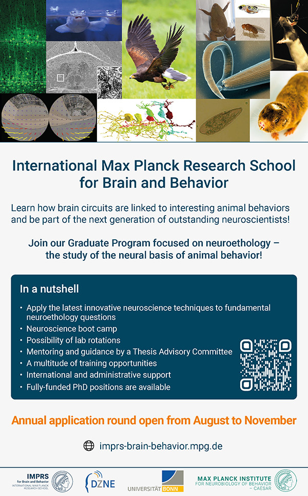 Our application portal is now open!
Join our IMPRS for Brain&amp;Behavior to pursue a #PhD in #neuroethology. Learn how brain circuits are linked to interesting animal behaviors!   
 ⏰ Deadline: October 31, 2025   
🔗 imprs-brain-behavior.mpg.de