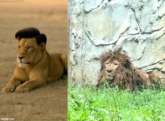 first day in crypto      vs       3 years in crypto