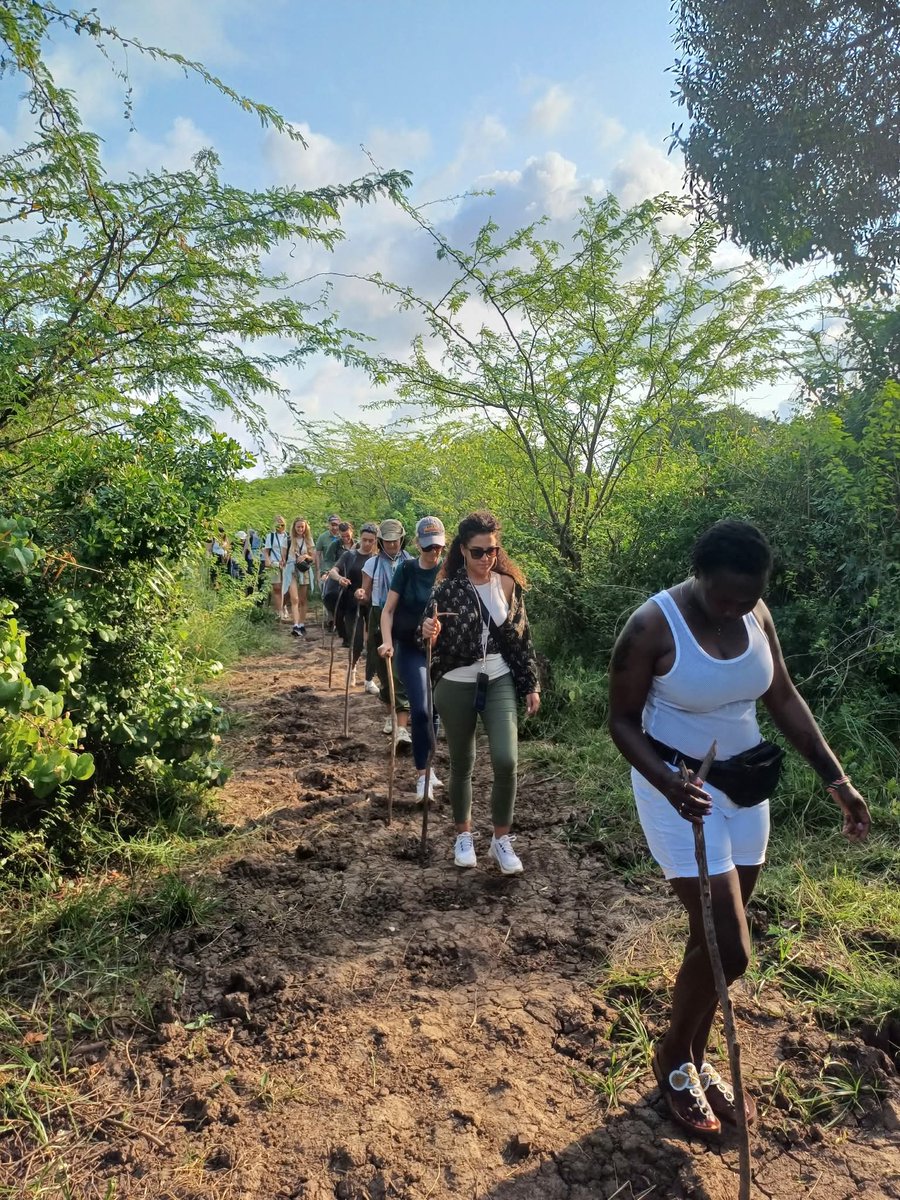 TravelSafiri's tweet photo. Twende Sabaki na @mashpoa_ while watching #LoveIslandUSA Plenty of hiking, bird 🐦 &amp; hippo 🦛🦛 watching. Those travelling from #JKIA can access Mash offices via @embassava EMVs courtesy of @BasiGoKenya. @SuperMetro_Ke serves #Githurai.
Safiri Salama 
#Magicalkenya #TembeaKenya https://t.co/XaHEYyPc1T