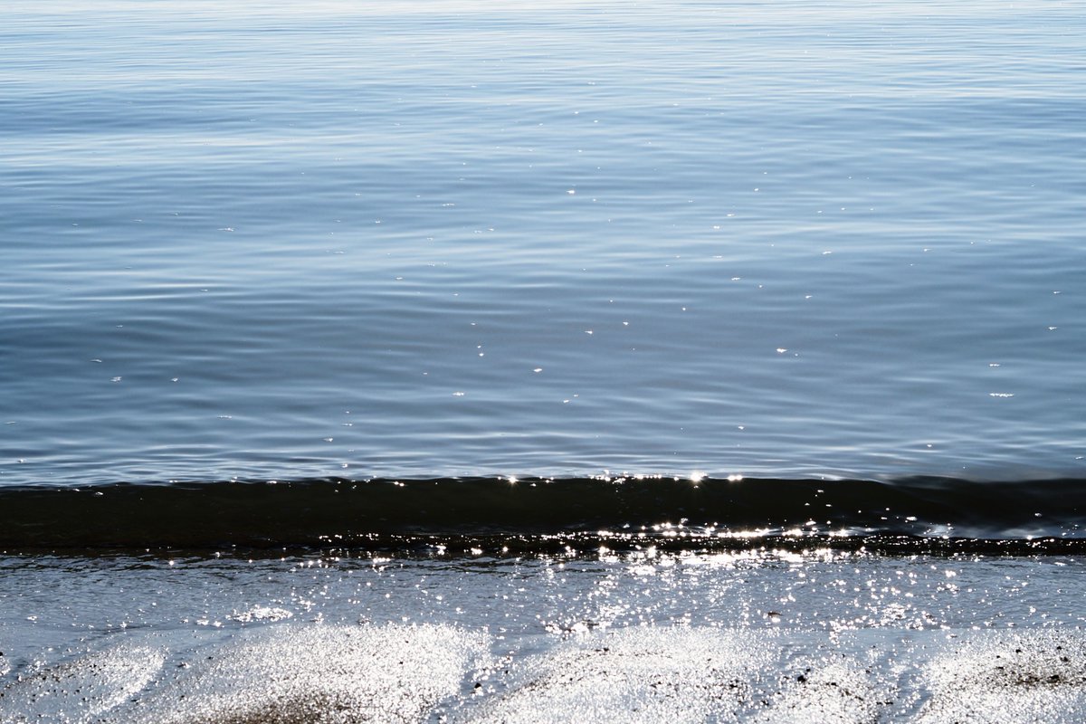 ひとしお (@hitoshio_shio) on Twitter photo 