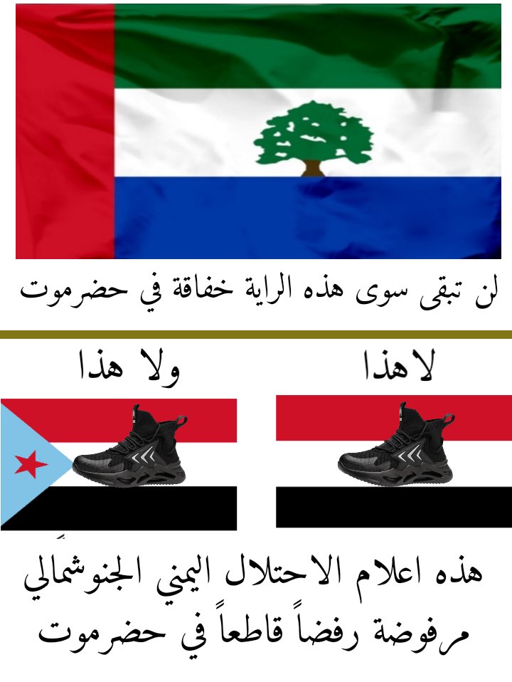 علم الاحتلال اليمني يجب ان نحرقه ونحرق اليد التي ترفعه بل وأجب وطني على كل حضرمي ان يحرقه ويدعس عليه فما بالك بعلم الاحتلال والماركسية والكفر والالحاد والأجرام والقتل والسحل
لن تبقى في حضرموت سوى راية حضرموت فقط