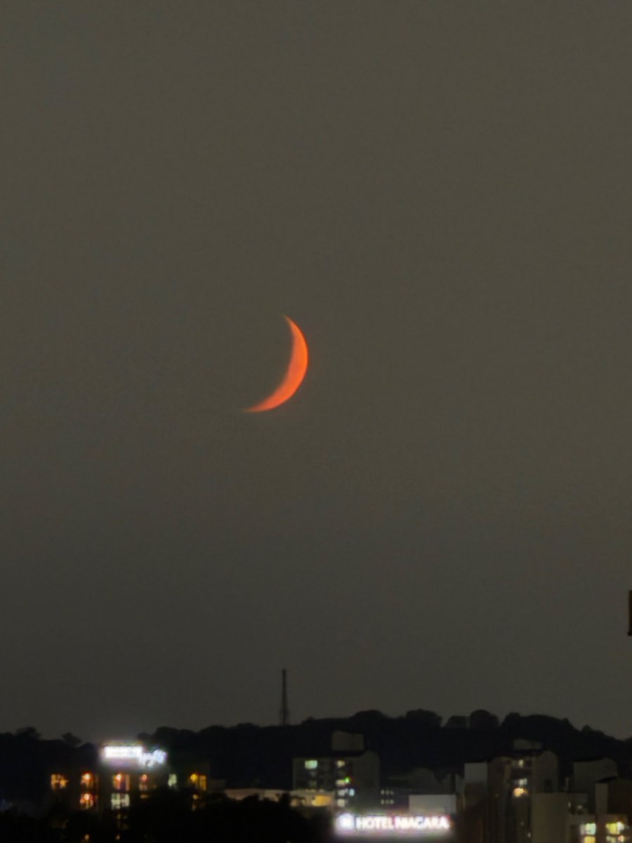 난 네가 보내주는 달 사진들이 그렇게 좋더라🌙