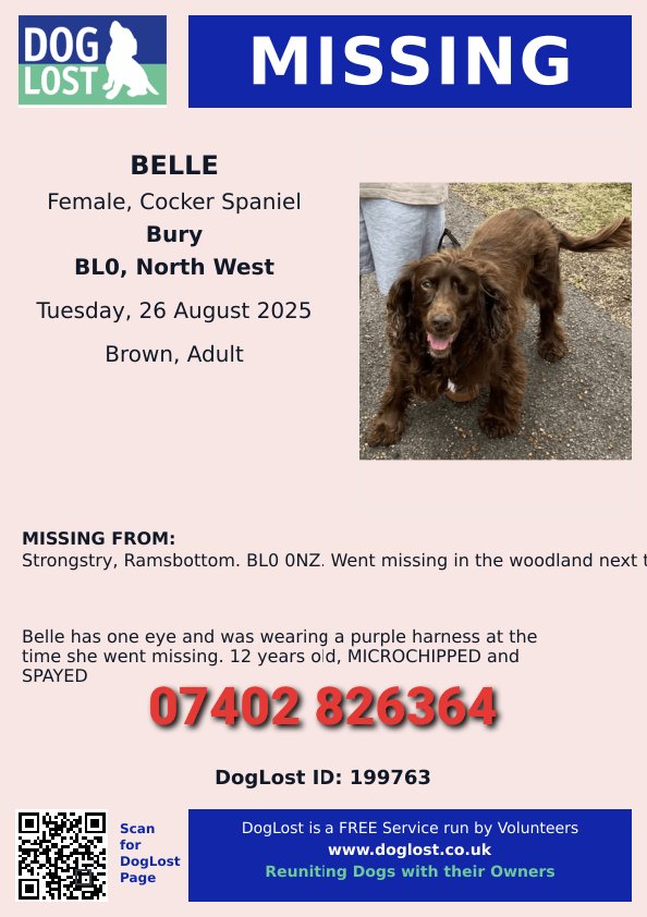 MissingPetsGB's tweet image. 🐕 MISSING DOG BELLE
12 year old brown working cocker spaniel with only one eye &amp;amp; slightly deaf missing since 26 August 2025 from Strongstry #Ramsbottom #BL0 in the woodland next to old railway line.
Belle was wearing a purple harness at the time &amp;amp; is chipped &amp;amp; spayed.