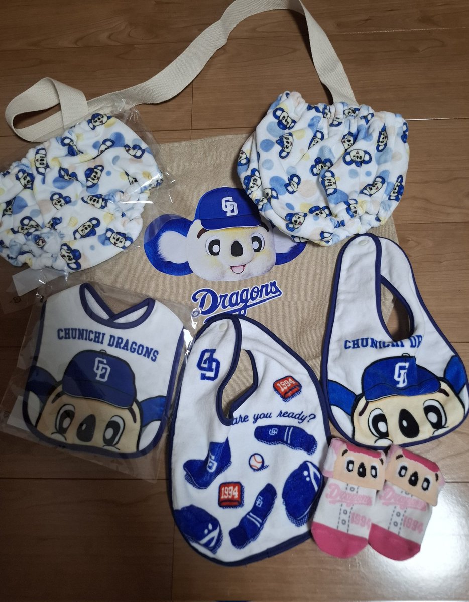 ドラゴンズ赤ちゃんハイハイレース見てて思い出した😳
買ってたの届いた- ̗̀📦 ̖́-どらほー！！！