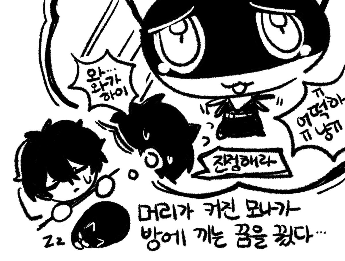왕대두고양이