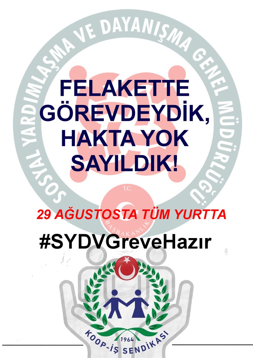 #SYDVGreveHazır