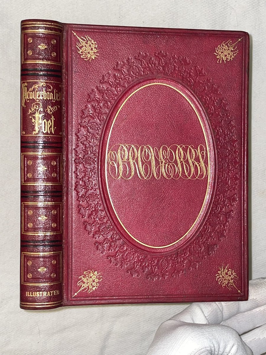 rogabooks's tweet photo. New Rare Book Listings. No Reserves! Link at https://t.co/n6zfPzyw3s #darwin #science #bible #hostory #poetry #shop #home #sale #bookworm #books https://t.co/gwXzAog2ca