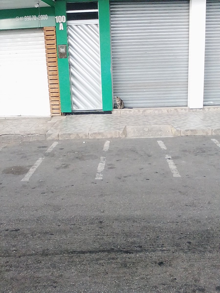 𝓛𝓮𝓪𝓷𝓭𝓻𝓸 💙 vire gente ou fodase tweet media