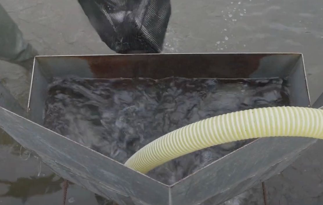 Titulares del día:
✅ Avances en la propuesta de la CE sobre protección de animales durante el transporte
✅ Tecnología de IATS e IATA  entre las más innovadoras del CSIC
✅ IEO  identifica la clave del éxito larvario del atún rojo en el Mediterráneo
Más ipacuicultura.com