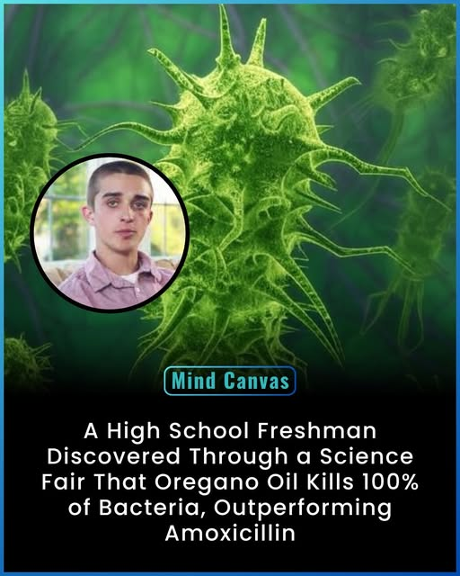Auntie Pam (@cekr4u2) on Twitter photo Oregano Oil - Oregano Oil -