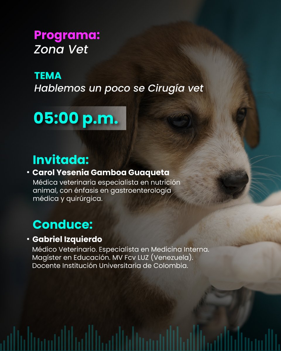 Universitariad4's tweet image. 🎙🐾 ¡La radio también cuida a tus mascotas!
📅 27 de agosto | ⏰ 5:00 p.m.
👉 “Hablemos un poco de cirugía vet”
Invitada: Dra. Carol Gamboa
Conduce: Gabriel Izquierdo
📺 En vivo: YouTube + Web IUDC
#ZonaVet #RadioIUDC #CuidadoAnimal