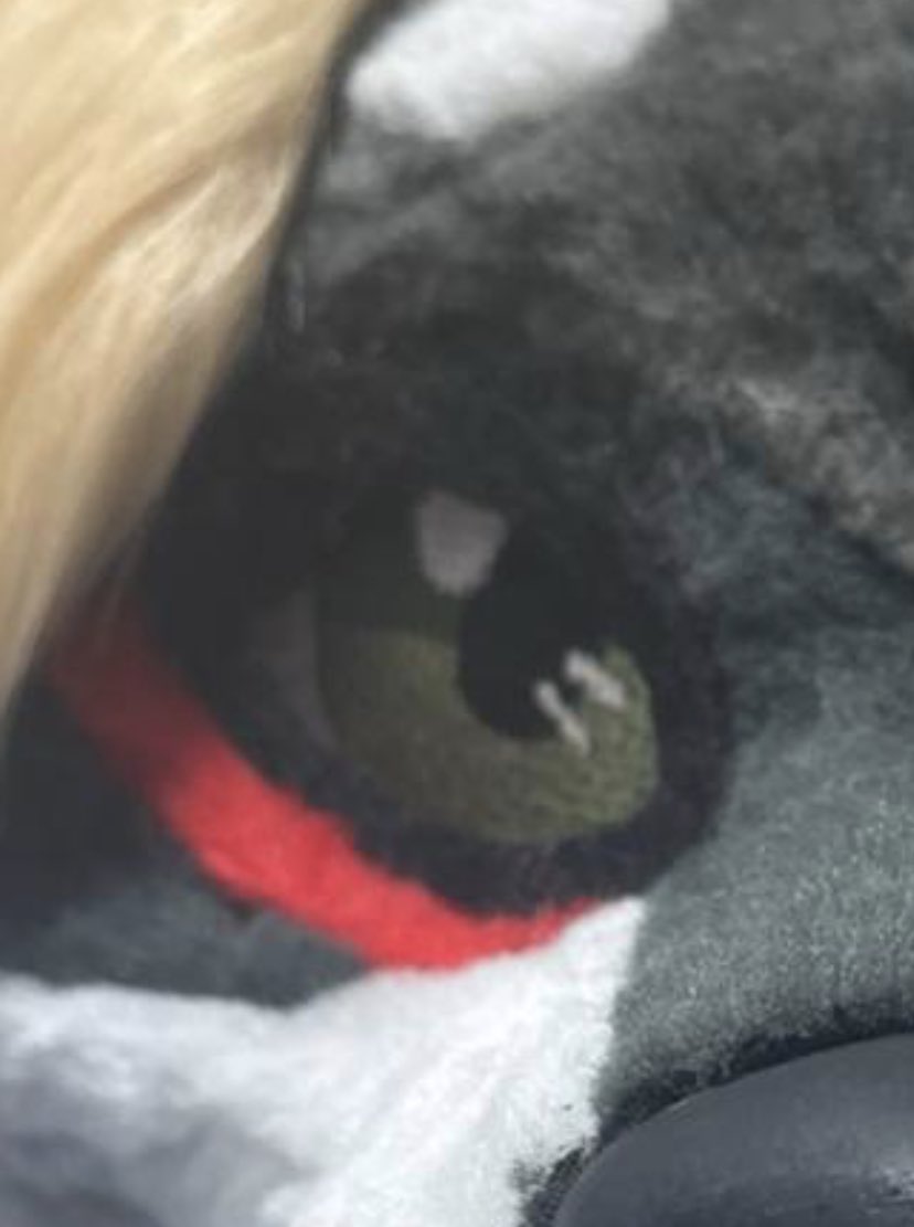 Sneak peek👀<a href="/RomeoMoonlight/">Romeo and Moonlight</a>  :3