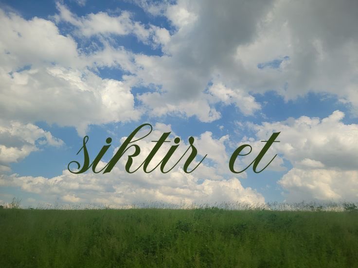 vante 🇹🇷 (@_snowflowerv) on Twitter photo 