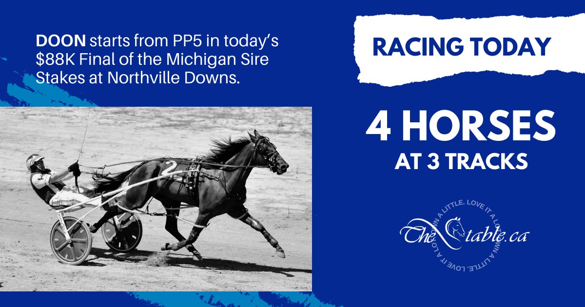 4 starters for Wednesday racing at The Meadows, Northville Downs and Northfield Park:

thestable.ca/upcoming-races/

#ownalittleloveitalot