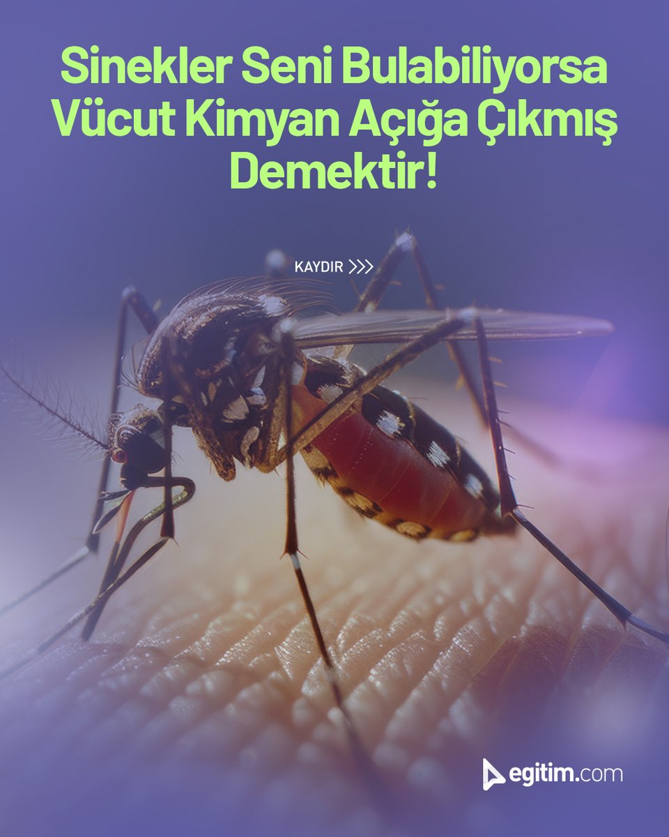 egitim_com's tweet image. Sinekler seni nasıl buluyor?

Cildinden yayılan kimyasallarla! 🦟✨

Beslenmen ve metabolizman büyük fark yaratıyor.

#Egitimcom #EğitimeDeğer #VücutKimyası #Sinekler #SinekIsırığı