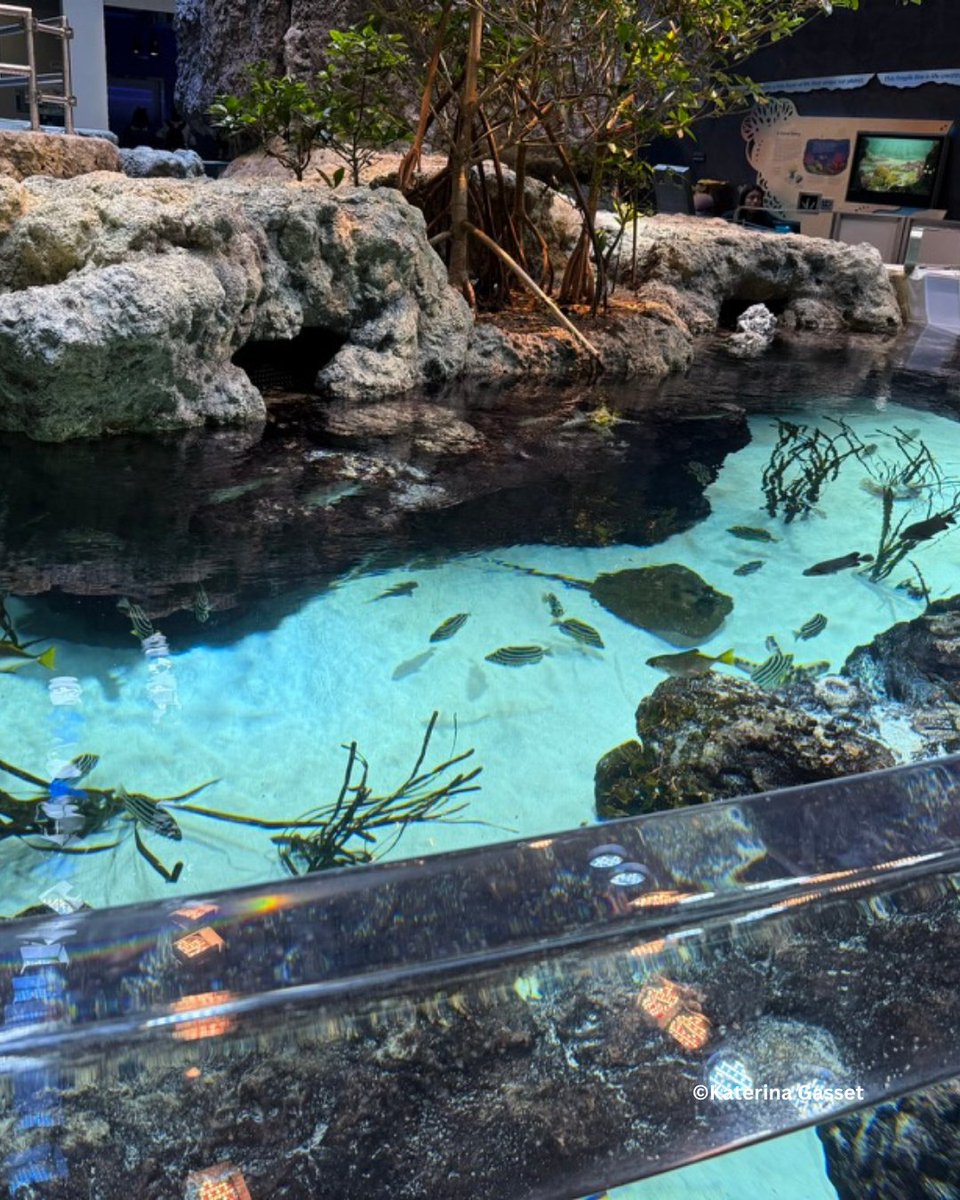 CoachKaterina's tweet image. 🌟 Good morning! Consistency is the key to success. What will you consistently focus on today?

#HireAVirtualAssistant #HireAVA