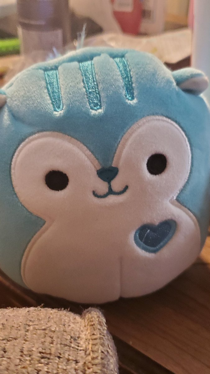inferno_cherry's tweet photo. Thank you,  @AvaPeyton156!! Happy late birthday to me!!💜❤️🤗🥰 love you!!! @ATEEZofficial @squishmallows https://t.co/3IEqTg7KGq