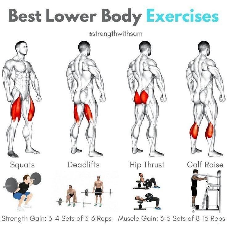 Best Lower body Exercises