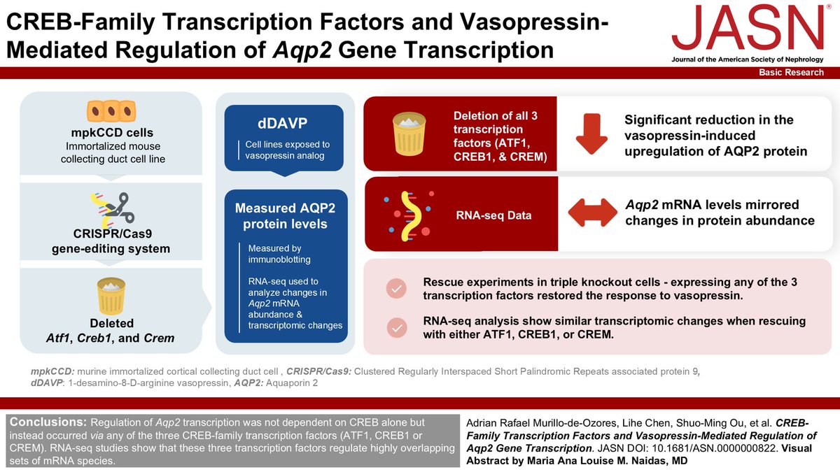Adrian Murillo-De-Ozores tweet media