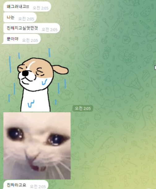토토리 tweet media