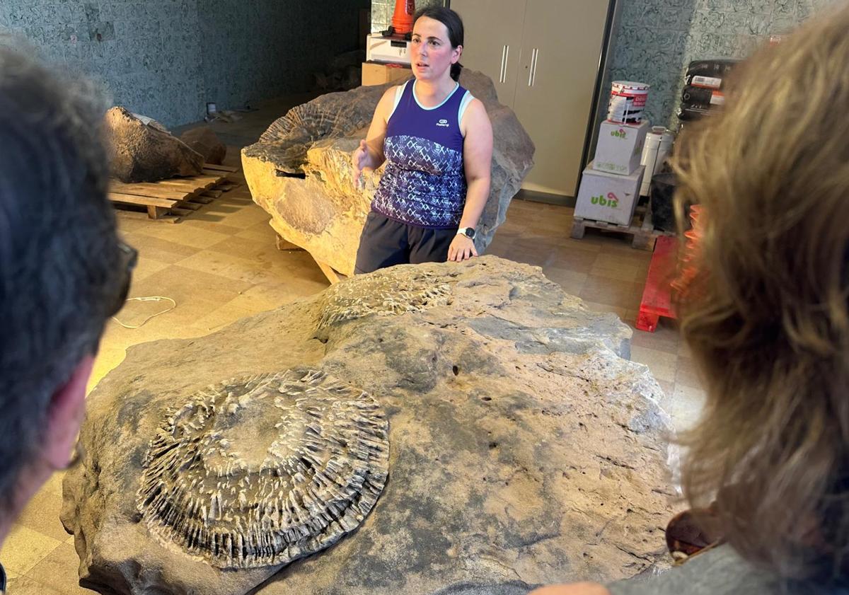 FundaciónDinosaurios (@fdinosaurios) on Twitter photo Los árboles fósiles del <a href="/geoloras/">geoparquelasloras</a>, descubiertos en Aguilar, cobran nueva vida gracias a la restauración d <a href="/Carrieastur/">Caterine Arias</a> (<a href="/MDinosaurios/">Museo de Dinosaurios</a>) <a href="/burgosconecta/">BURGOSconecta</a>
Proyecto en el q participa la <a href="/FDinosaurios/">FundaciónDinosaurios</a> con el Geoparque MUNDIAL UNESCO y q dará mucho de qué hablar. n9.cl/tpc3j Los árboles fósiles del <a href="/geoloras/">geoparquelasloras</a>, descubiertos en Aguilar, cobran nueva vida gracias a la restauración d <a href="/Carrieastur/">Caterine Arias</a> (<a href="/MDinosaurios/">Museo de Dinosaurios</a>) <a href="/burgosconecta/">BURGOSconecta</a>
Proyecto en el q participa la <a href="/FDinosaurios/">FundaciónDinosaurios</a> con el Geoparque MUNDIAL UNESCO y q dará mucho de qué hablar. n9.cl/tpc3j
