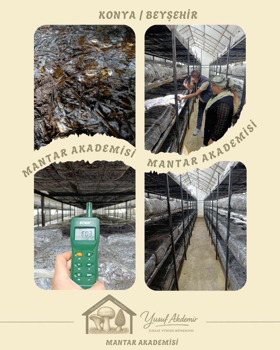 🍄Çalışmalarımız Devam Ediyor.🍄

📍#beyşehir

Kültür Mantarı

MAŞALLAH 👏👏👏

Tüm Üreticilerimize Hayırlı Helal Bol Kazançlar Dilerim.

#mantar #mushroom #tarımşehri #tarım #konya