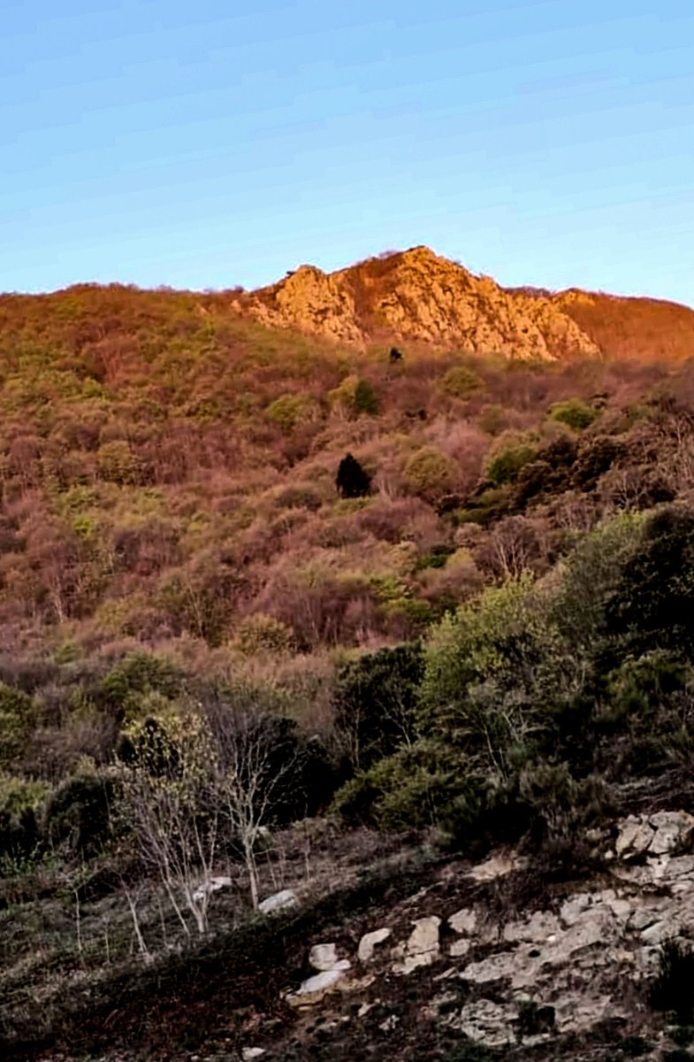 Me gustas para todo.