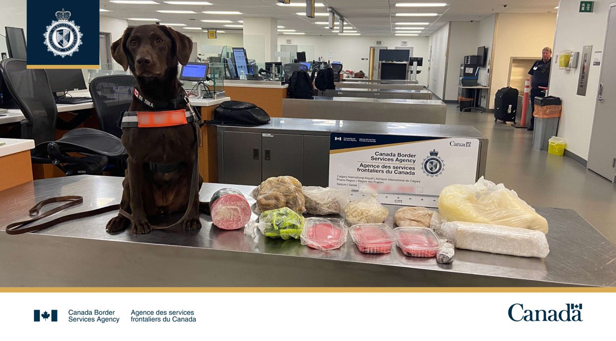 CanBorderPRA's tweet photo. With the help of #K9 Zuka, #CBSA officers at Calgary Airport seized 5 kg of bologna &amp; sausages, 5 kg of butter and 550 g of chili peppers.

Failure to declare food and animal products can lead to seizure and a $1300 fine. More: https://t.co/vl5012qOAT https://t.co/K6aHYAk3BJ