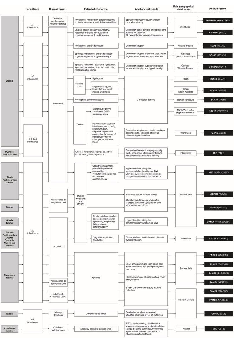 ParkinsonismD's tweet image. A journey through genetic movement disorders caused by non-coding repeat expansions
#genetic #movementdisorders #noncoding #RED #intronicexpansion #approach #diagnosis
prd-journal.com/article/S1353-…
@PRDAssociation